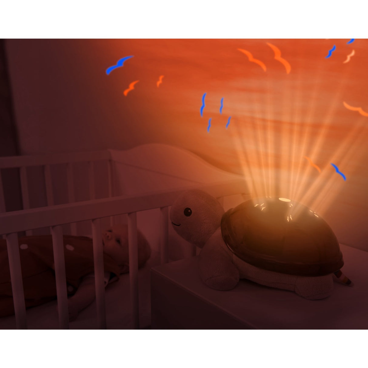 Zazu Brown Tim The Sköldpadda Projector