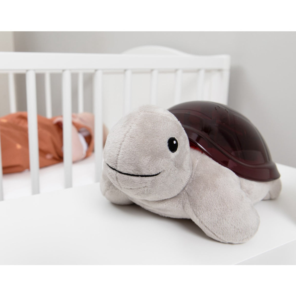 Zazu Brown Tim The Sköldpadda Projector