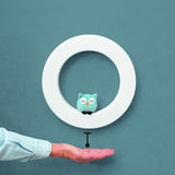 Zazu White Wall Light