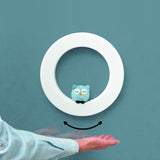 Zazu White Wall Light