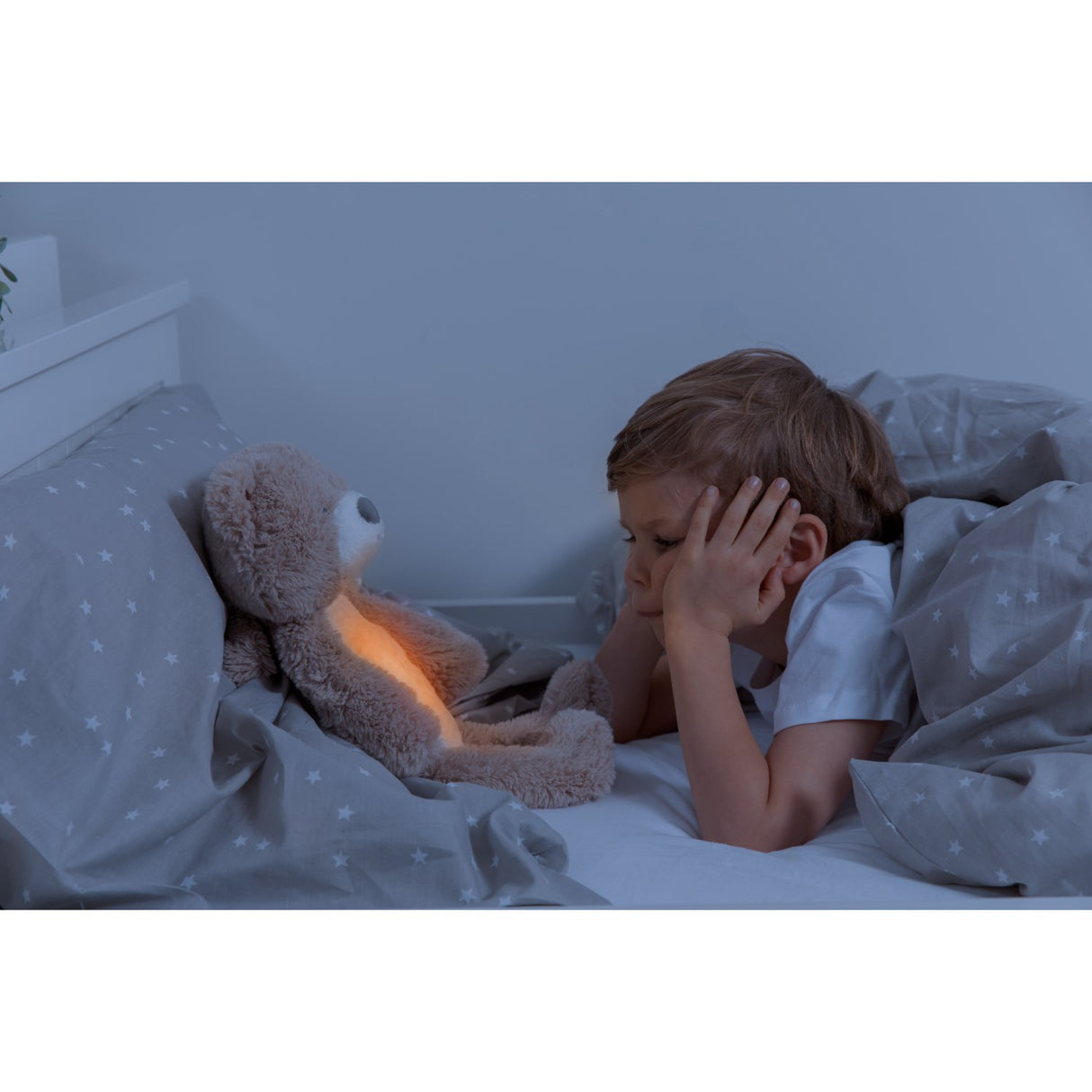 Zazu Brown Brody The Björn Sömntränare