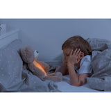 Zazu Brown Brody The Björn Sömntränare