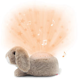 Zazu Brown Ruby The Rabbit Projector