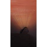 Zazu Red Shally The Sparrow Projector