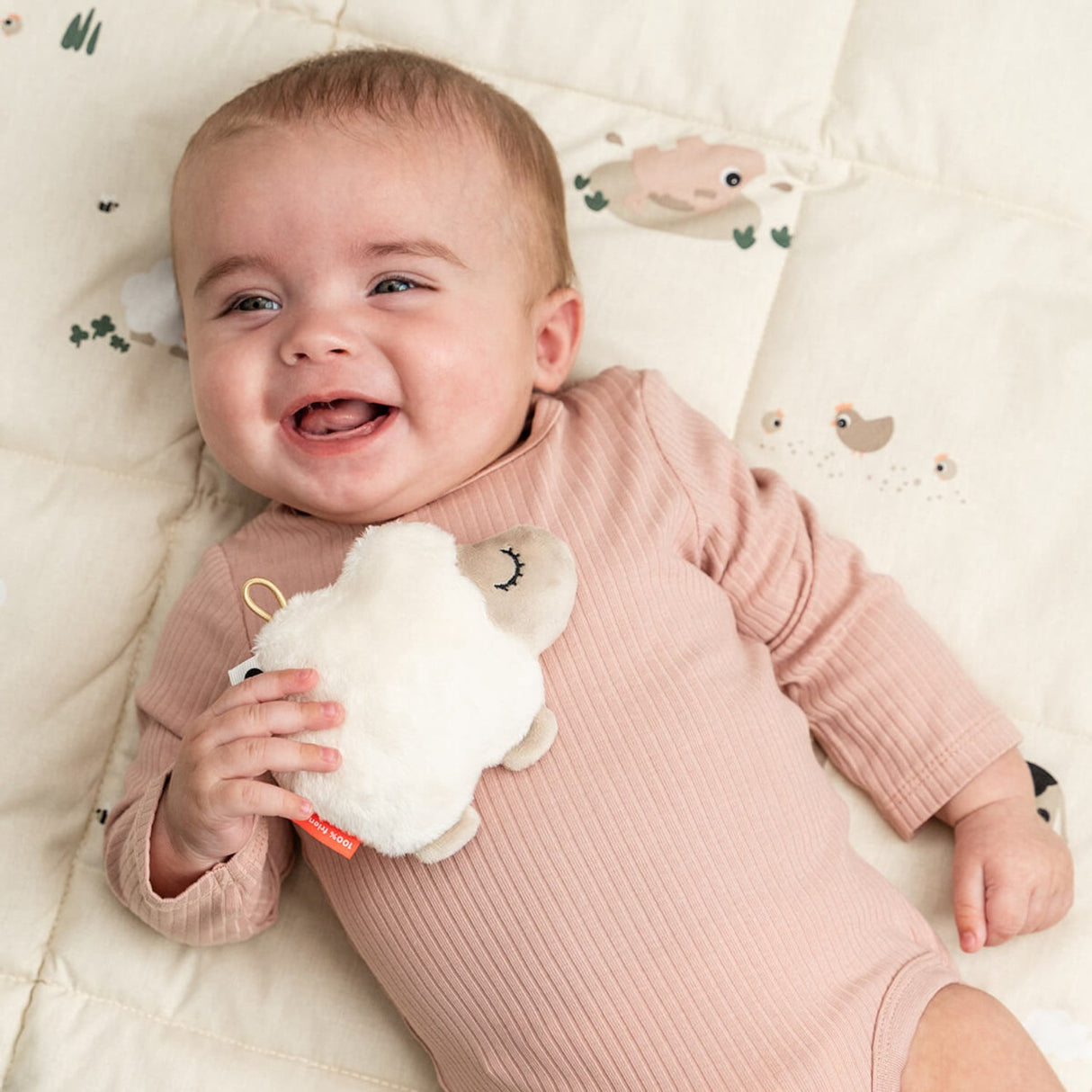 DonebyDeer Sheepy Sand Skallra