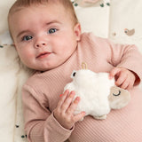 DonebyDeer Sheepy Sand Skallra