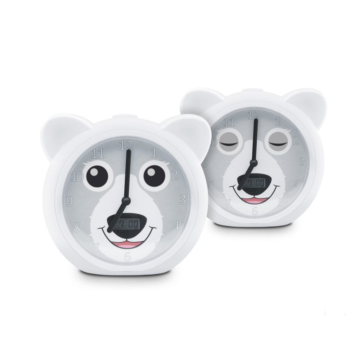 Zazu Grey Bobby The Björn Sömntränare