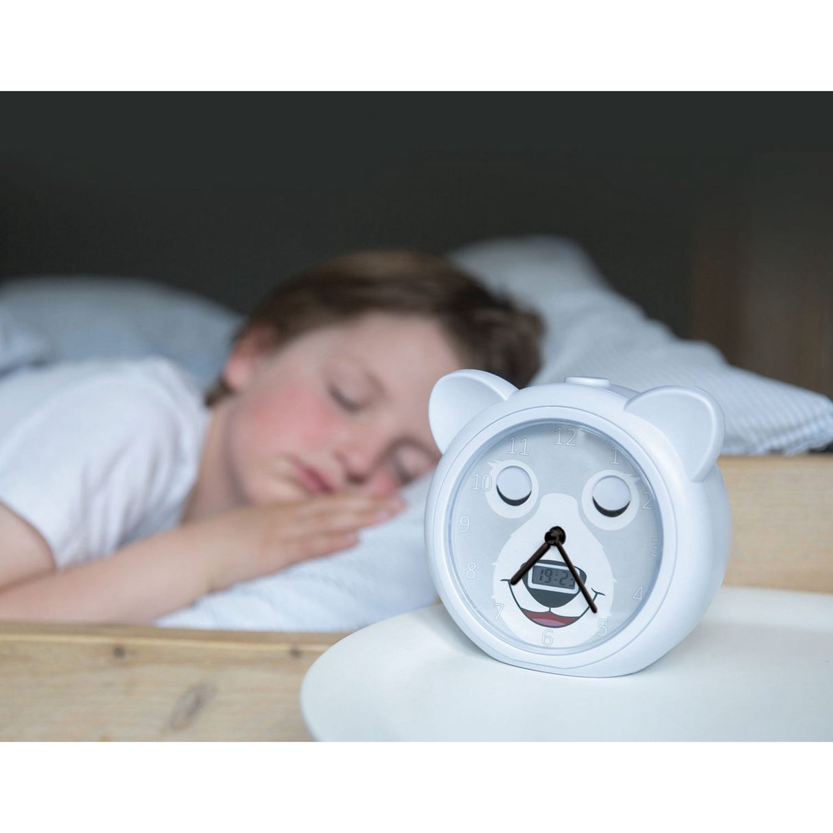 Zazu Grey Bobby The Björn Sömntränare