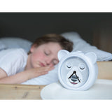 Zazu Grey Bobby The Björn Sömntränare