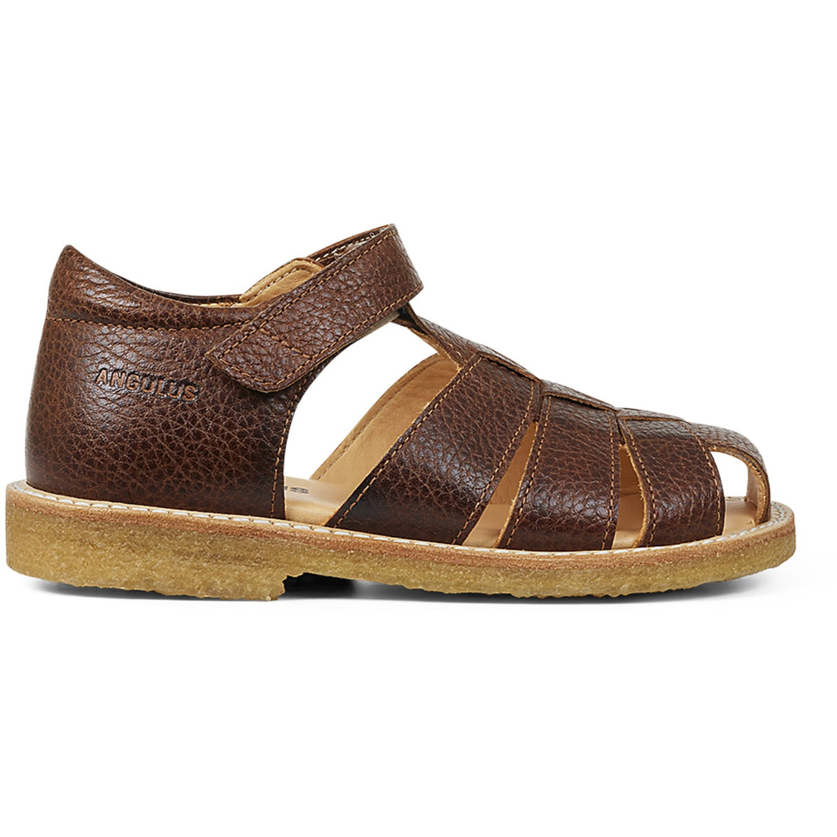 Angulus Sandal M. Kardborreband Mellembrun