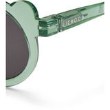 LIEWOOD Peppermint Transparent Darla Mr Björn Solglasögon 4-10 Y