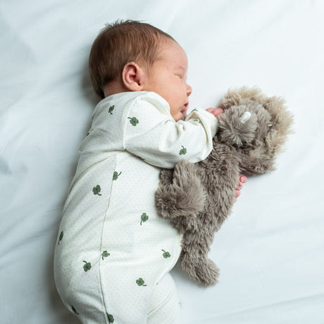 That's Mine Dino Houston Heavy Nallebjörn Mini