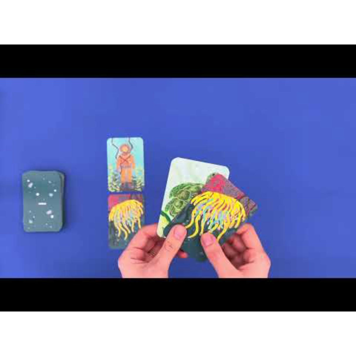 Djeco-kortspelet, Bazarquatik