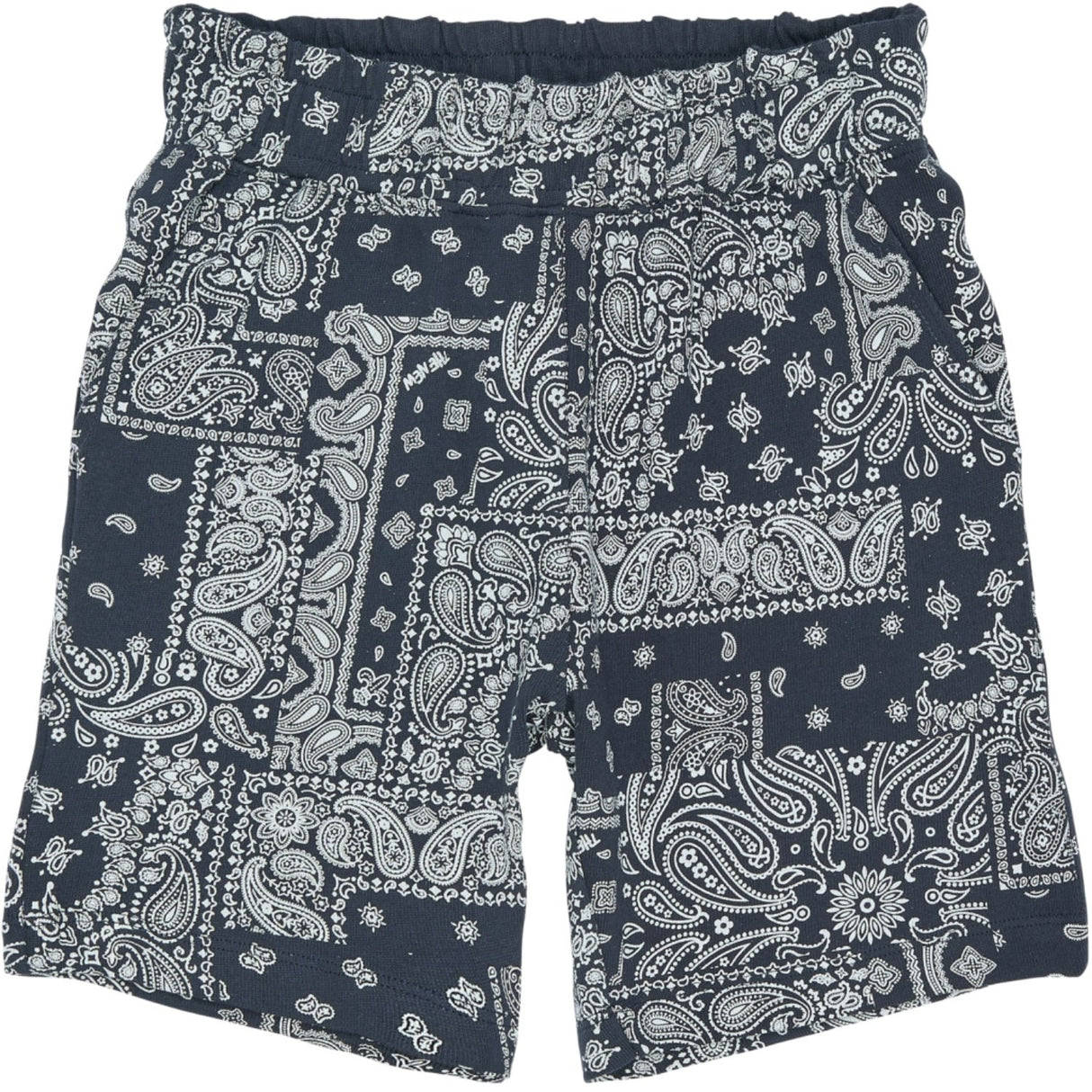 The New Navy Blazer Aop Tnsixten Shorts