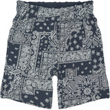 The New Navy Blazer Aop Tnsixten Shorts