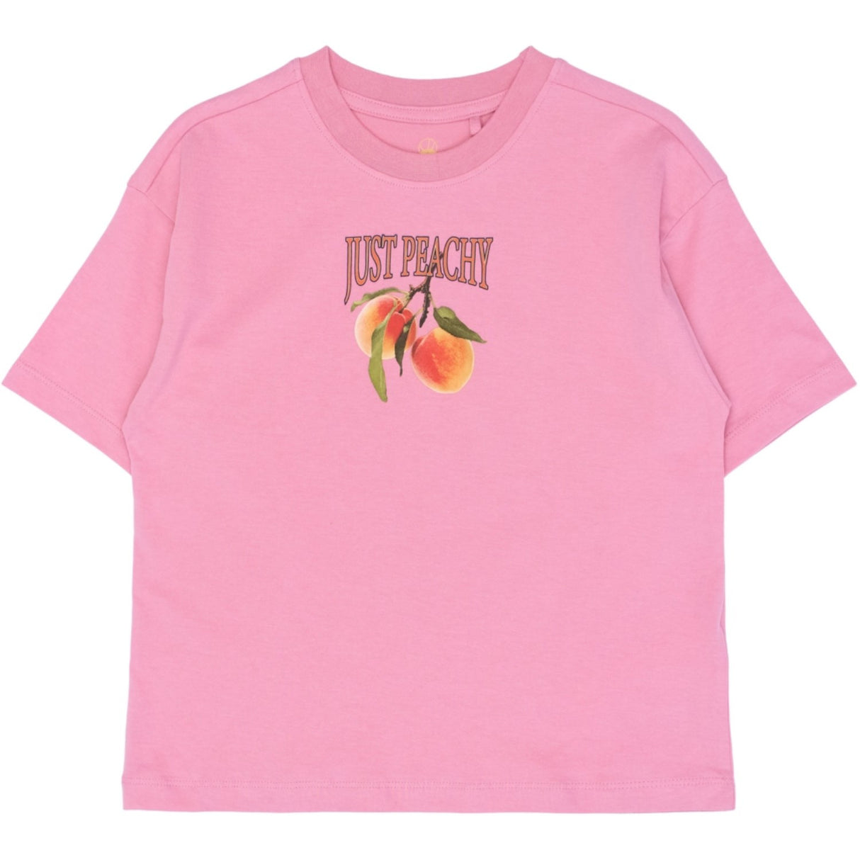 The New Cashmere Rose Tntenna Os S_S Tee
