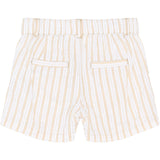 THE NEW Siblings Humus Striped Tnstsmitty Shorts