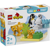 LEGO® DUPLO Town - Vilde Dyrefamilier: Pingviner Och Løver 10442