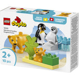 LEGO® DUPLO Town - Vilde Dyrefamilier: Pingviner Och Løver 10442
