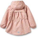 Wheat Rose Sorbet Flowers Jacka Ada