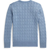 Polo Ralph Lauren Blue Heather/C7110 Pullover