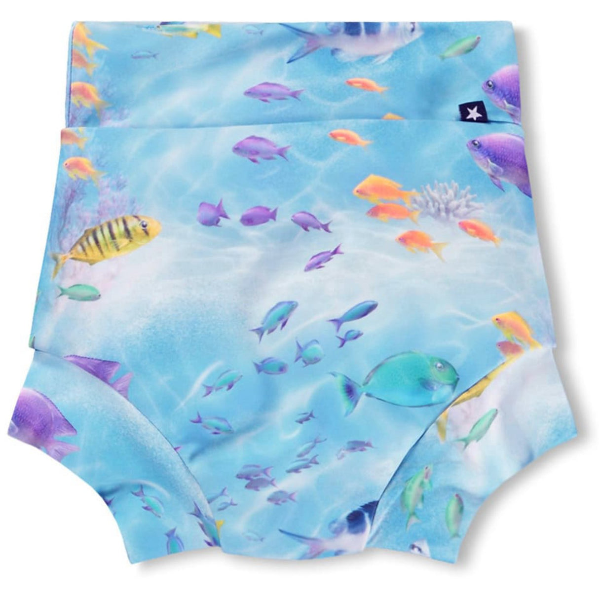 Molo Rainbow Sea Nick Badeshorts