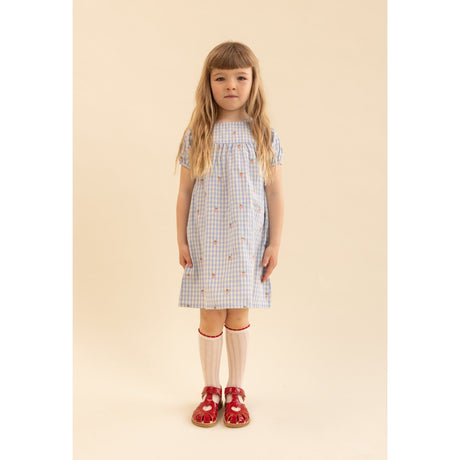 Flöss Sky Berry Gingham Mille SS Klänning