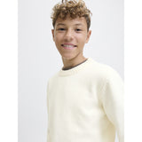 Jack & Jones Junior Sea Salt Jornorrebro Stickad Crew Neck Ln Jnr