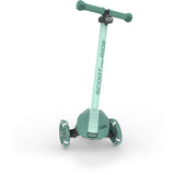 Scoot and Ride Forest Highwaykick 3S