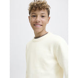 Jack & Jones Junior Sea Salt Jornorrebro Stickad Crew Neck Ln Jnr