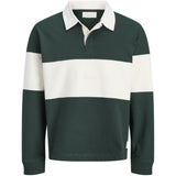 Jack & Jones Junior Pine Grove Jorfrederiksberg Blocking Sweat Pikétröja Jnr