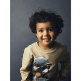 Name It Sesame Nmmnathaniel Ls Nreg Sweat Bru Låda