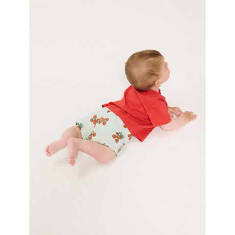 Bobo Choses Light Blue Juicy Tomatoes All Över Shorts