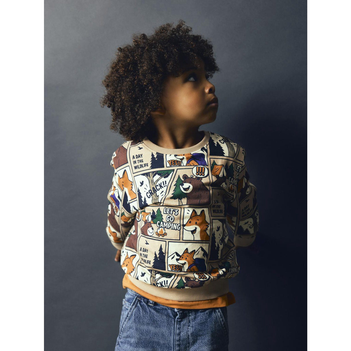 Name It Sesame Nmmoswaldy Ls Nreg Sweat Bru Låda
