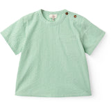 COPENHAGEN COLORS Sharp Green W Cream Stripe Seersucker Ss Blus