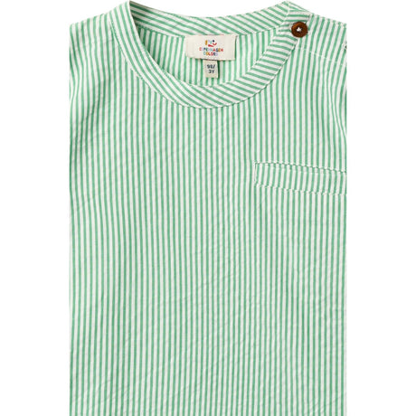 COPENHAGEN COLORS Sharp Green W Cream Stripe Seersucker Ss Blus