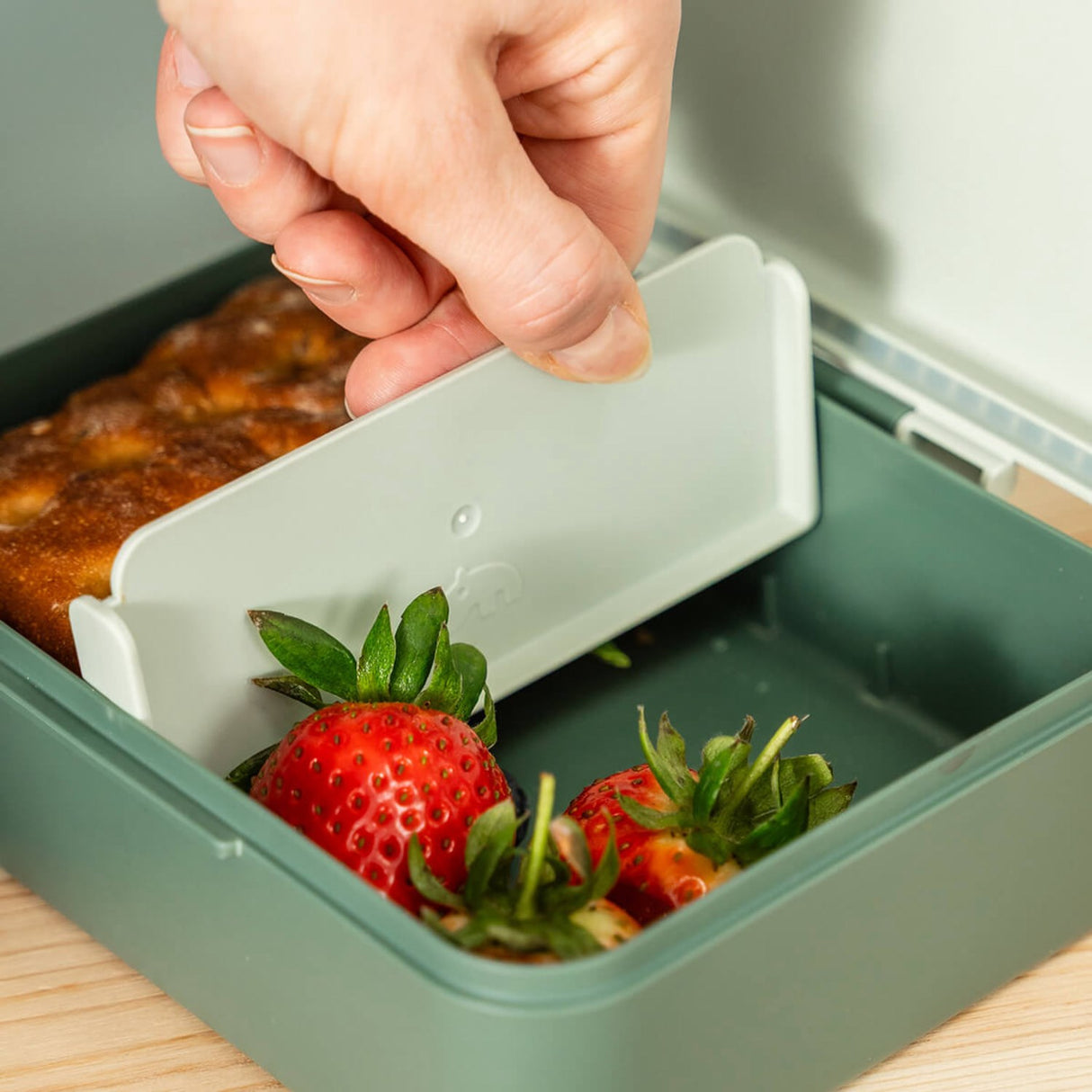 DonebyDeer Green Tiny Trails Lunch Låda Med Divider