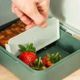 DonebyDeer Green Tiny Trails Lunch Låda Med Divider