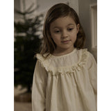 Lil'Atelier Turtledove Nmfrosea Ls Loose Skjorta Lil