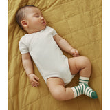 Petit Bateau Variante 1 Kort Sleeve Body