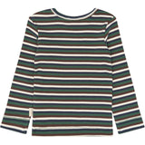 Petit Piao Trekking Green Multistriped Ppsong Blus