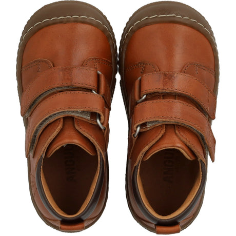 Angulus Cognac/Dark Brown Kardborreband Stövlar Med Forstærket Tå