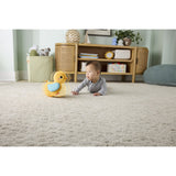 Fisher-Price® Flap & Follow Duck