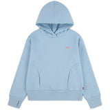 Levi's Angel Falls Batwing Patch Hoodies
