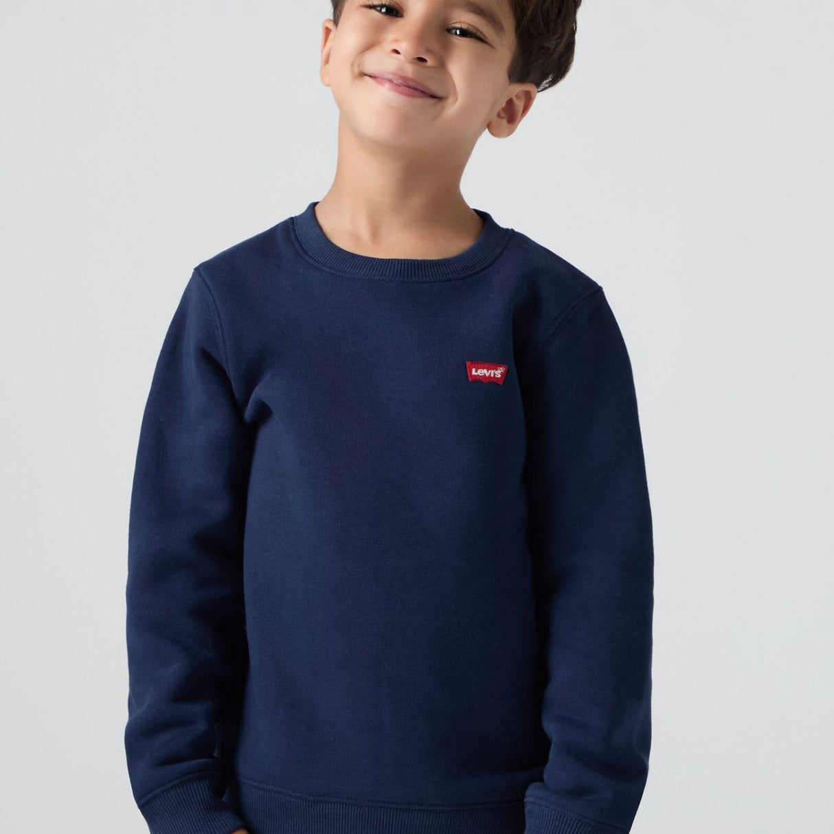 Levi's Dress Blues Mini Logo Crewneck Sweatsh