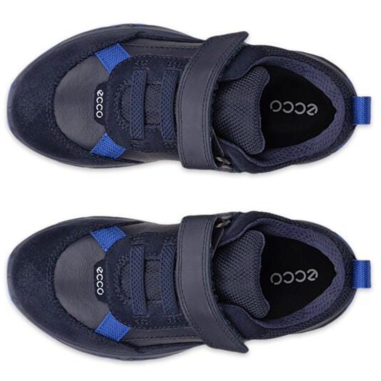 Ecco Night Sky Receptor Xp K Läder