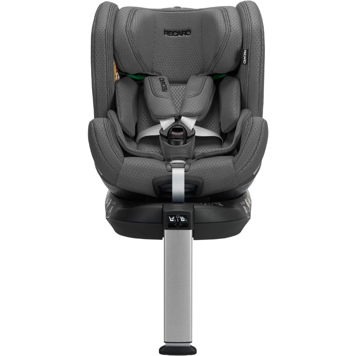 RECARO Gallant Grey Xenon 1 Bil Plats