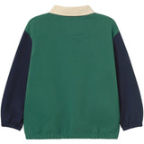 TinyCottons Dark Green Färg Block Pikétröja Sleeve Tee