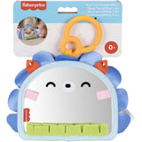 Fisher-Price® Nyfødt 2-i-1 Spegel