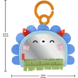 Fisher-Price® Nyfødt 2-i-1 Spegel